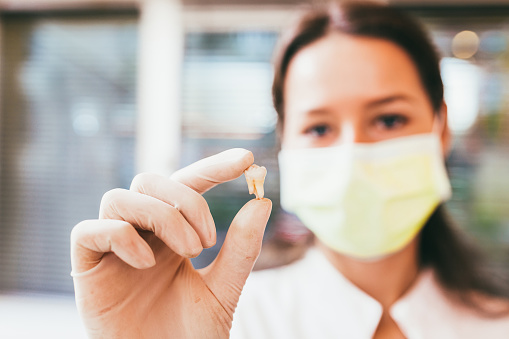 Dentist holding an extracted tooth at Tiny Teeth Pediatric Dentistry in Wichita, KS. Dentist holding an extracted tooth at Tiny Teeth Pediatric Dentistry in Wichita, KS.
